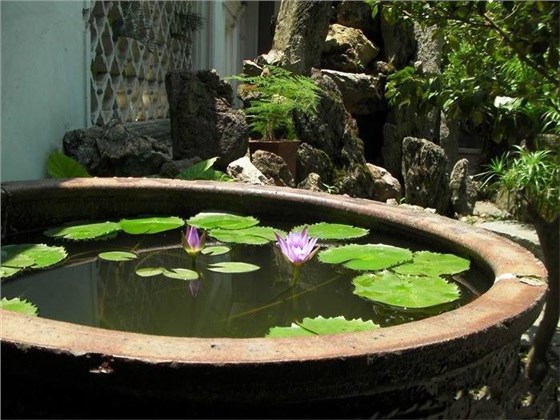 據(jù)工廠滅蠅燈廠家調(diào)查，如果去除溪澗的樹叢或灌木叢，使這類積水暴露于陽光之下，就能避免這種按蚊孳生
