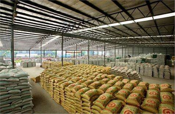 天津撲鼠器廠家解答工廠蟲(chóng)鼠害的危害