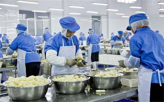 滄州滅鼠器廠家：食品廠如何做好蟲(chóng)鼠害防制