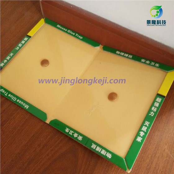 景隆粘鼠板批發(fā)廠家