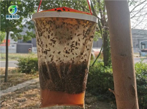 景隆JL-3022捕蠅袋 養(yǎng)殖場戶外滅蠅器懸掛式蒼蠅袋蒼蠅捕捉器