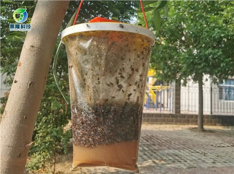 景隆JL-3022捕蠅袋 養(yǎng)殖場戶外滅蠅器懸掛式蒼蠅袋蒼蠅捕捉器