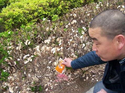  請(qǐng)愛(ài)護(hù)地球，保護(hù)家園