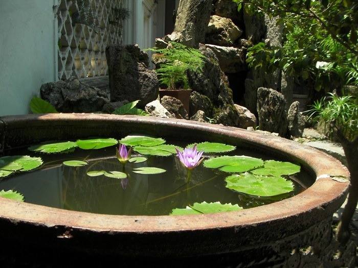 據(jù)工廠滅蠅燈廠家調(diào)查，如果去除溪澗的樹叢或灌木叢，使這類積水暴露于陽光之下，就能避免這種按蚊孳生