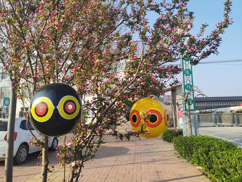 要防鳥(niǎo)，不如試試驅(qū)鳥(niǎo)氣球